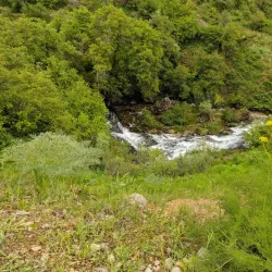 Chatkal National Park - Uychi