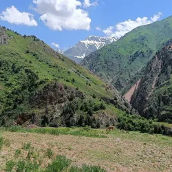 Chatkal National Park - Uychi