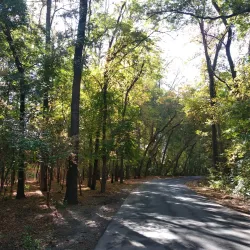 Namangan Botanical Garden - Uychi