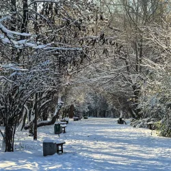 Namangan Botanical Garden - Uychi