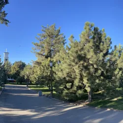 Amir Temur Square - Yangiyul