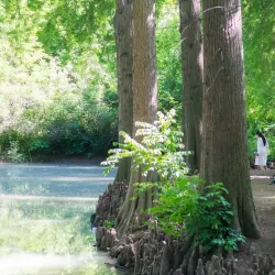 Yangiyul Botanical Garden - Yangiyul