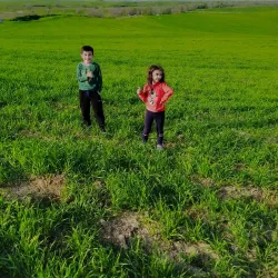 Yangiyul Central Park - Yangiyul