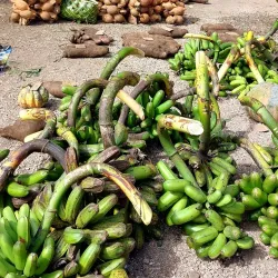 Lenakel Market - Isangel