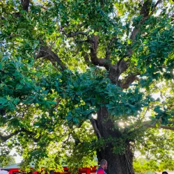 Lenakel Market - Isangel