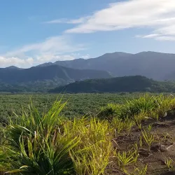 Mount Yasur Volcano - Isangel