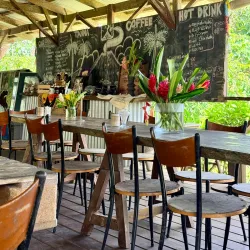 Tanna Coffee Plantations - Isangel