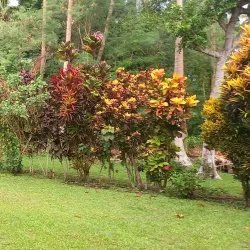 Lakatoro Market - Lakatoro