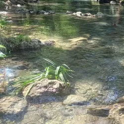 Lakatoro Market - Lakatoro