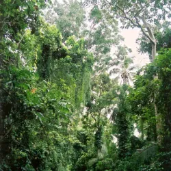 Malakula Island Beaches - Lakatoro