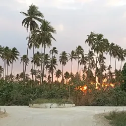 Norsup Airport - Lakatoro