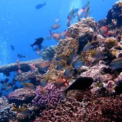 Snorkeling and Diving Sites - Lakatoro