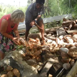 Traditional Malakula Villages - Lakatoro