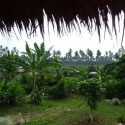 Traditional Malakula Villages - Lakatoro