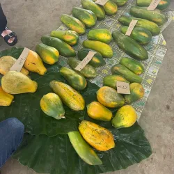 Luganville Market - Luganville