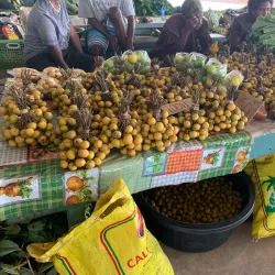 Luganville Market - Luganville