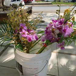 Luganville Market - Luganville