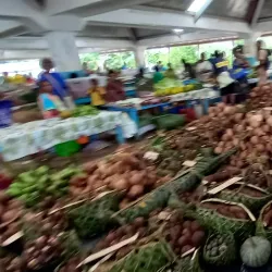 Luganville Market - Luganville