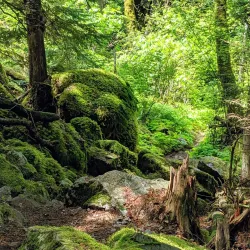 Mount Hope Lookout - Luganville