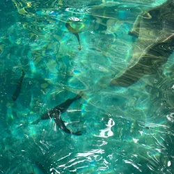 Nanda Blue Hole - Luganville