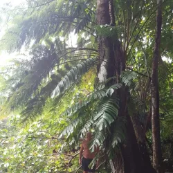 Nanda Blue Hole - Luganville