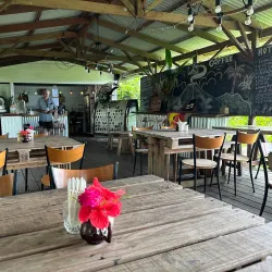 Tanna Coffee Plantation - Luganville