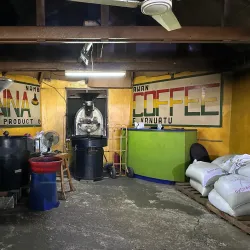 Tanna Coffee Plantation - Luganville