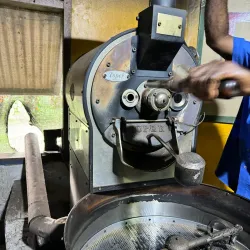 Tanna Coffee Plantation - Luganville