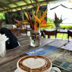 Tanna Coffee Plantation - Luganville