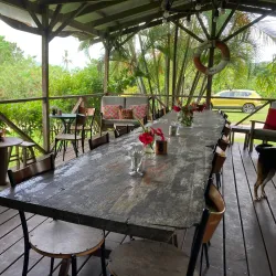 Tanna Coffee Plantation - Luganville