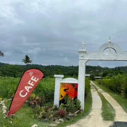 Tanna Coffee Plantation - Luganville