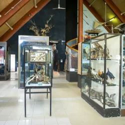 Vanuatu Cultural Centre - Santo Museum - Luganville