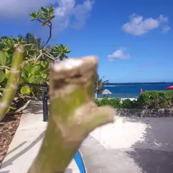 Vanuatu Cultural Centre - Santo Museum - Luganville