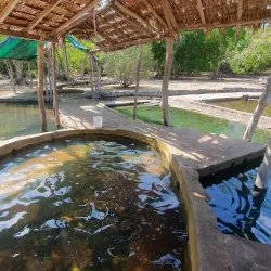 Volcanic Hot Springs - Norsup