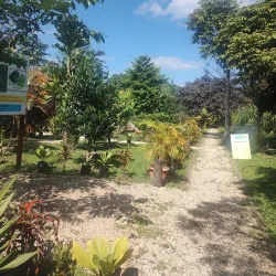 Botanical Gardens - Port Vila