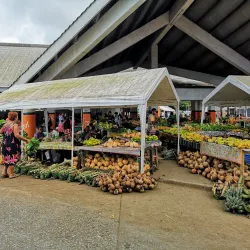 Port Vila Market - Port Vila