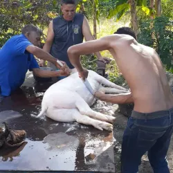 Museo de Arte Contemporáneo de Acarigua - Acarigua