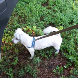 Museo de Arte Contemporáneo de Acarigua - Acarigua