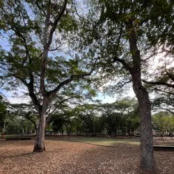 Parque La Laguna - Acarigua