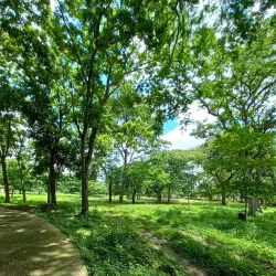 Parque La Laguna - Acarigua