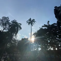 Plaza Bolívar de Acarigua - Acarigua