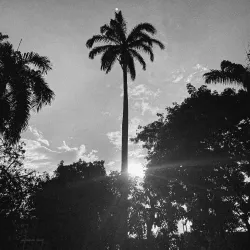 Plaza Bolívar de Acarigua - Acarigua