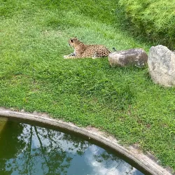 Parque del Este - Barcelona