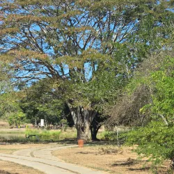 Parque del Este - Barquisimeto