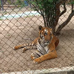 Parque Zoológico Las Cocuizas - Barquisimeto