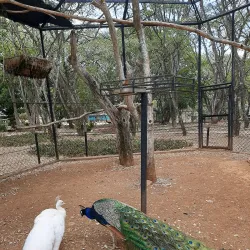 Parque Zoológico Las Cocuizas - Barquisimeto