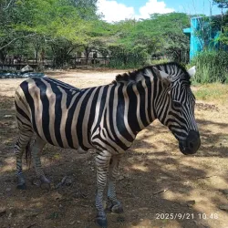 Parque Zoológico Las Cocuizas - Barquisimeto