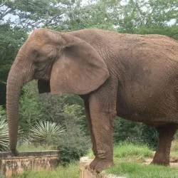 Parque Zoológico Las Cocuizas - Barquisimeto