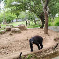 Parque Zoológico Las Cocuizas - Barquisimeto