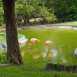 Parque Zoológico Las Cocuizas - Barquisimeto